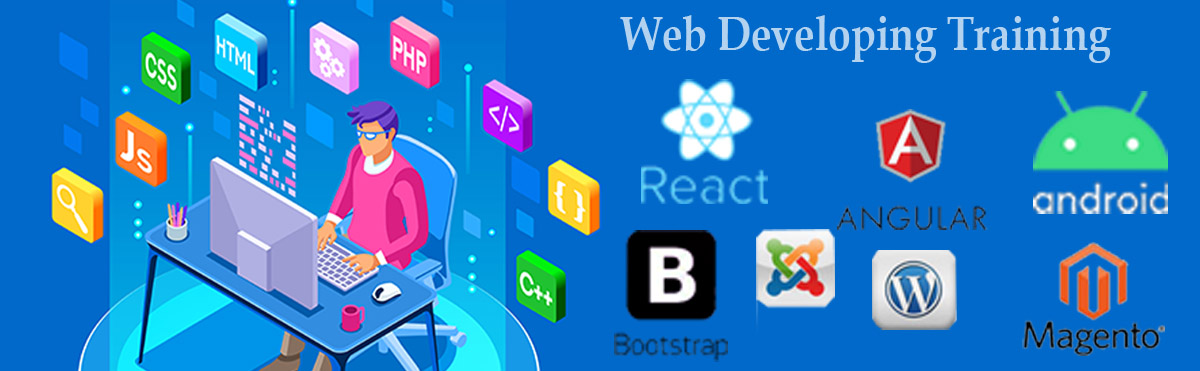 Web developing services